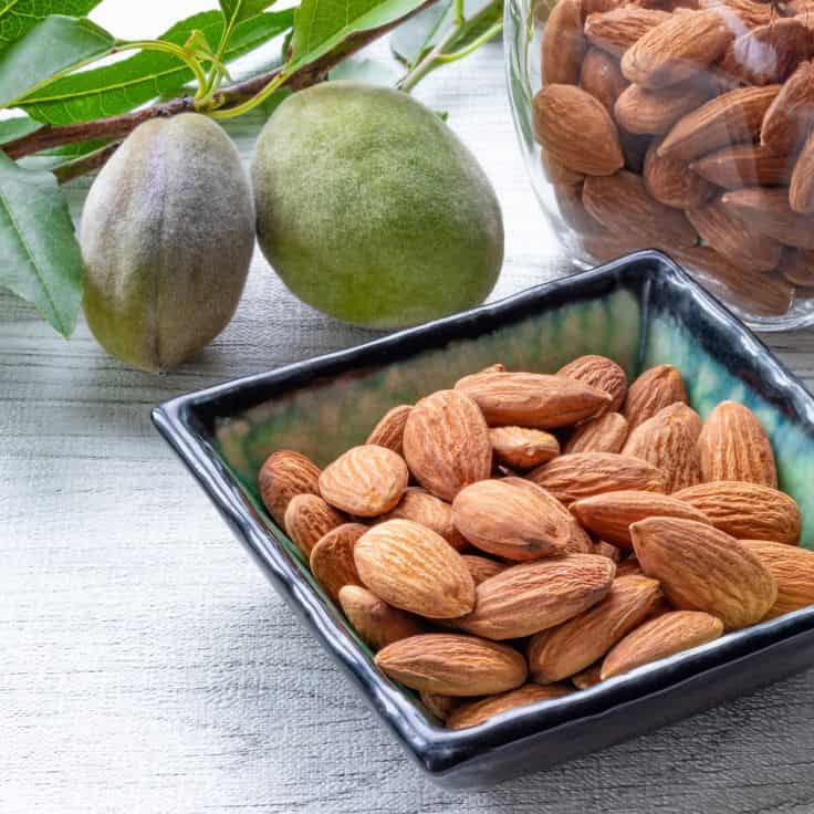 فروش بادام تلخ